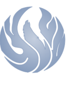 banner-img